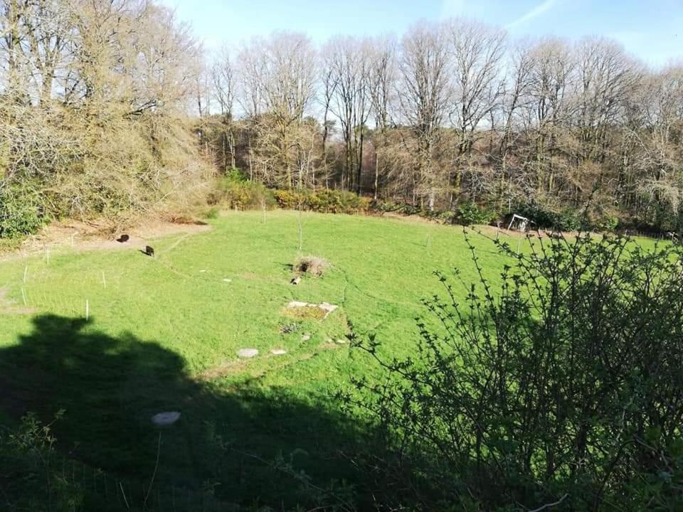 Manoir Du Tertre Au Coeur De La Foret De Broceliande 호텔 뺑뽕 외부 사진