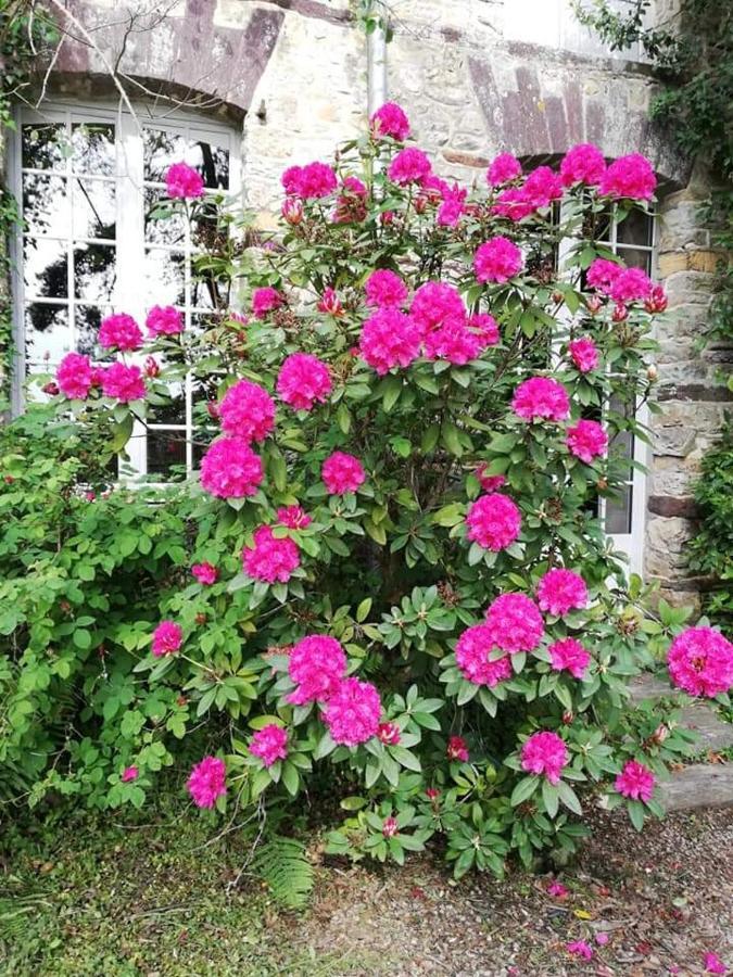 Manoir Du Tertre Au Coeur De La Foret De Broceliande 호텔 뺑뽕 외부 사진