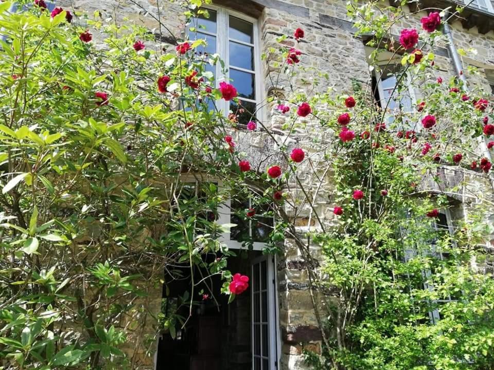 Manoir Du Tertre Au Coeur De La Foret De Broceliande 호텔 뺑뽕 외부 사진