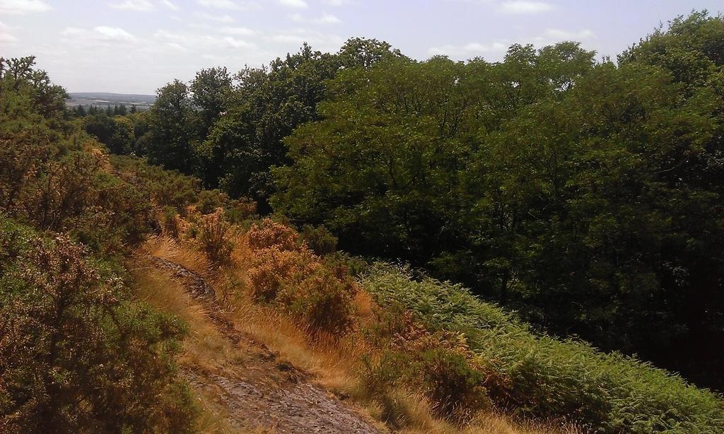 Manoir Du Tertre Au Coeur De La Foret De Broceliande 호텔 뺑뽕 외부 사진