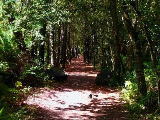 Manoir Du Tertre Au Coeur De La Foret De Broceliande 호텔 뺑뽕 외부 사진